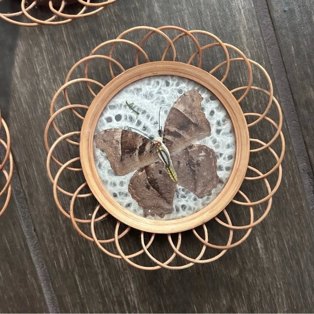VTG Wicker Rattan Pressed Butterfly Coasters Set of 6